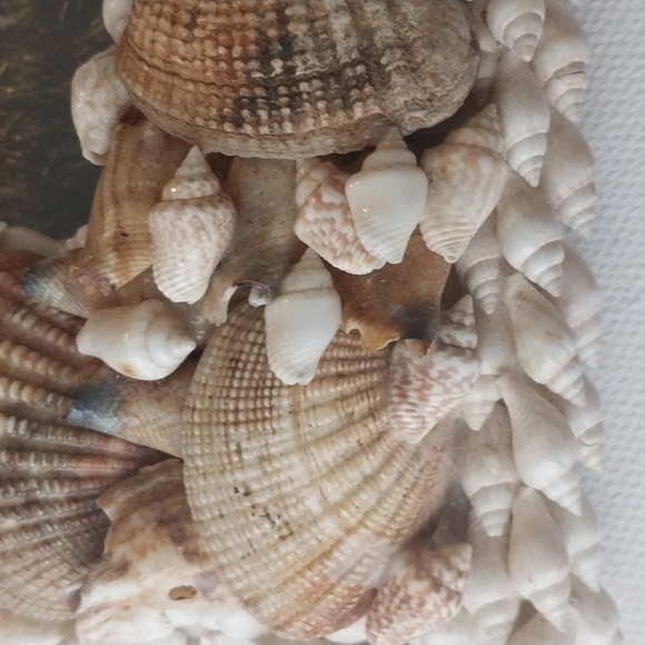 Shells Genuine Picture Frame - Picture 3 of 4